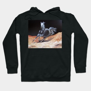 Call of the desert Hoodie